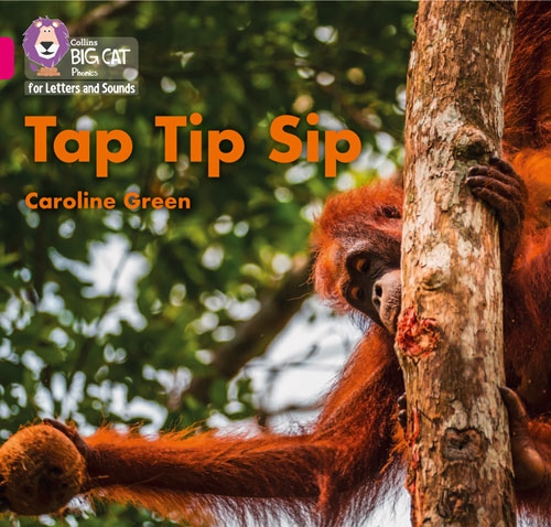 COLLINS BIG CAT TAP TIP SIP