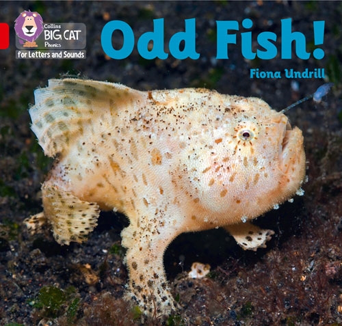COLLINS BIG CAT ODD FISH!