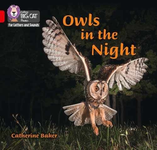 COLLINS BIG CAT OWLS IN THE NIGHT