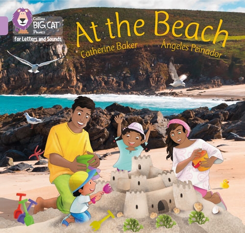 COLLINS BIG CAT AT THE BEACH