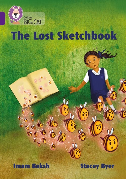 COLLINS BIG CAT THE LOST SKETCH BOOK