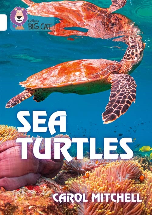 COLLINS BIG CAT SEA TURTLES