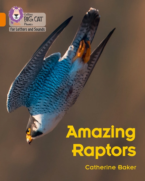 COLLINS BIG CAT AMAZING RAPTORS
