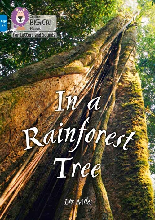 COLLINS BIG CAT IN THE RAINFOREST TREE