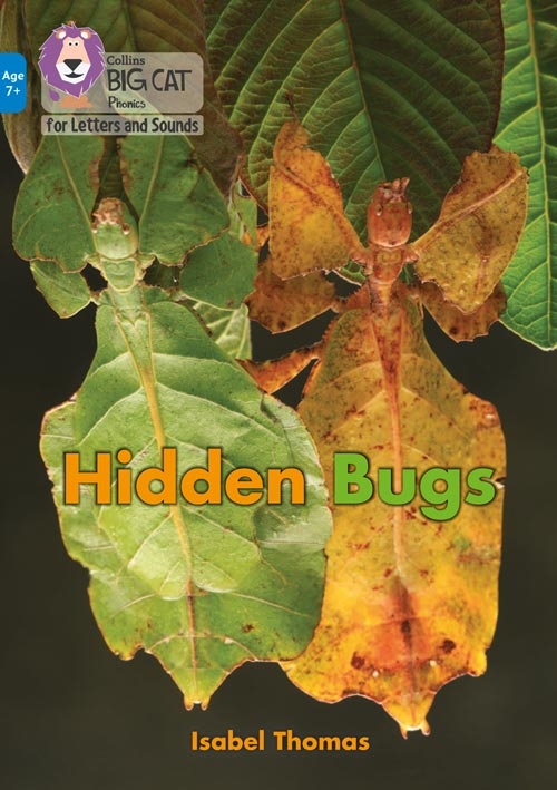 COLLINS BIG CAT HIDDEN BUGS