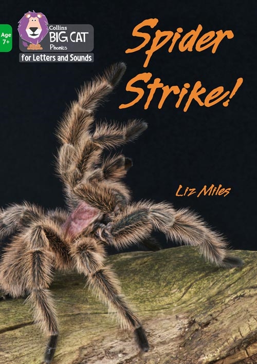 COLLINS BIG CAT SPIDER STRIKE!