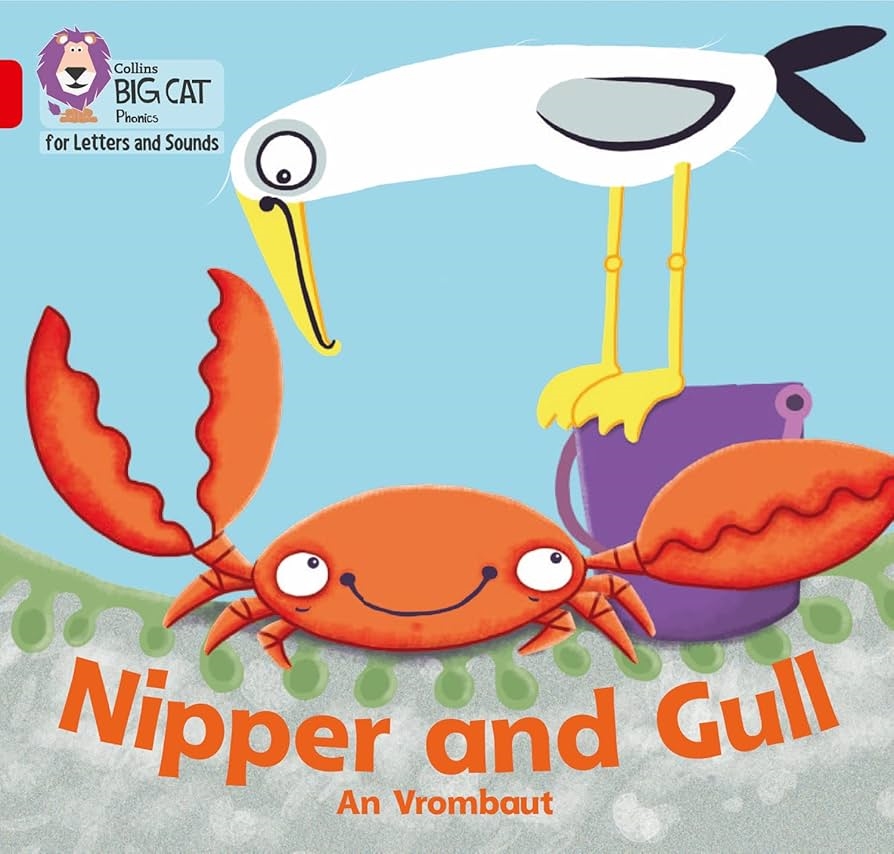 BIG CAT LITTLE WANDLE PHASE 3  NIPPER AND GULL