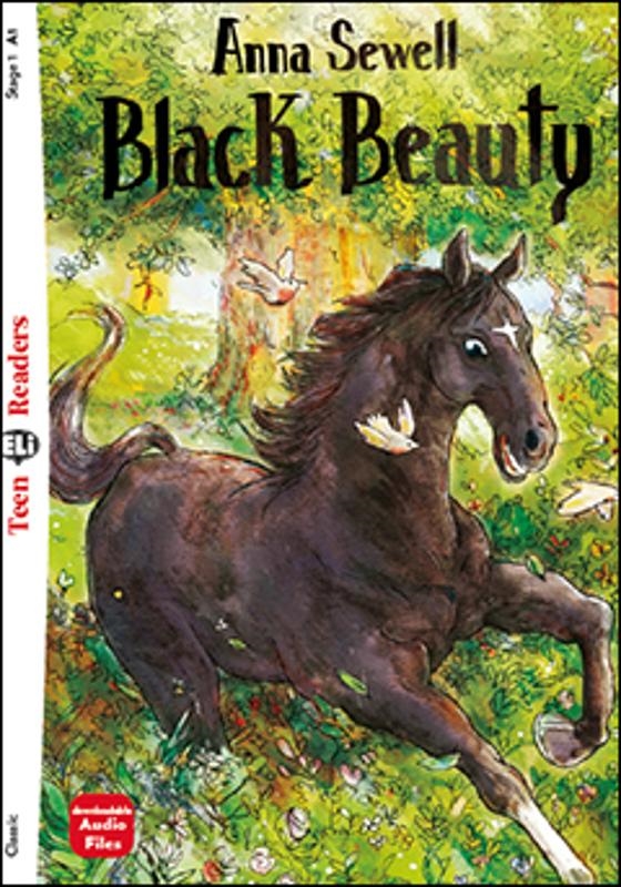 CLASSIC 1 BLACK BEAUTY SET WITH DIGIBOOK APP