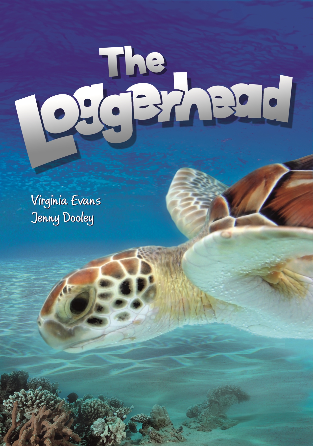 DCVR-(A1/A2) THE LOGGERHEAD READER APP