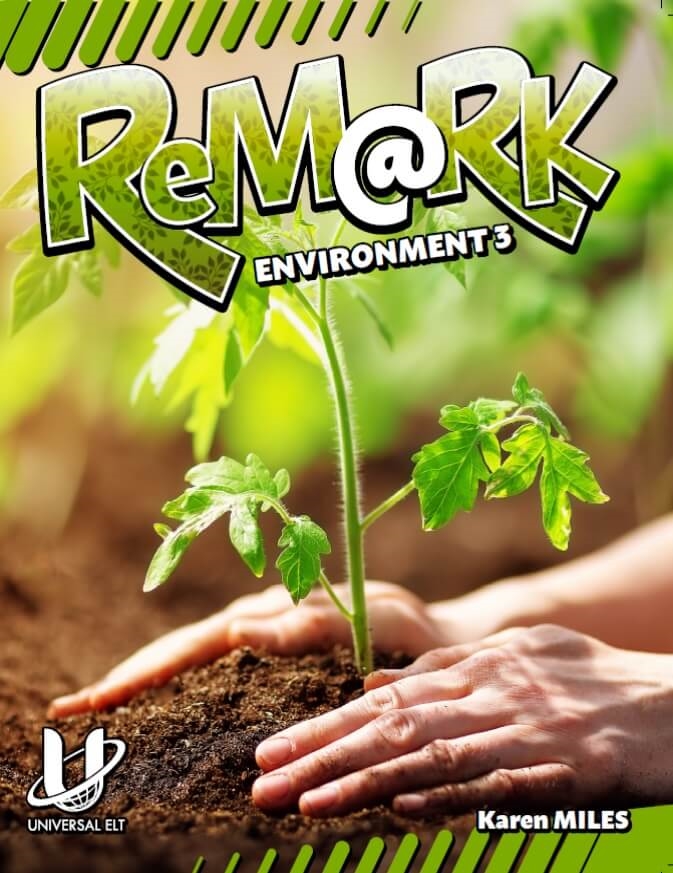 REMARK ENVIRONMENT 3